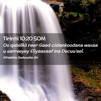 Picture 02 - Tirintii 10:20 SOM - Oo qabiilkii reer Gaad ciidankoodana waxaa u - Bible Verse Picture