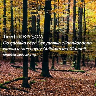 Picture 02 - Tirintii 10:24 SOM - Oo qabiilka reer Benyaamiin ciidankoodana waxaa u - Bible Verse Picture