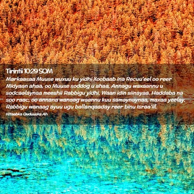 Picture 02 - Tirintii 10:29 SOM - Markaasaa Muuse wuxuu ku yidhi Xoobaab ina - Bible Verse Picture