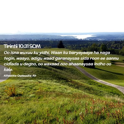 Picture 02 - Tirintii 10:31 SOM - Oo isna wuxuu ku yidhi, Waan ku baryayaaye ha - Bible Verse Picture