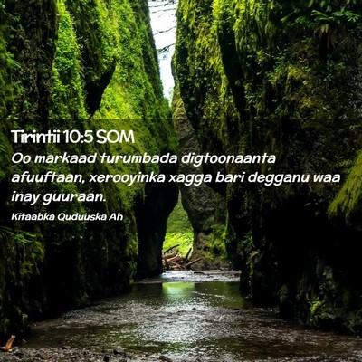 Picture 02 - Tirintii 10:5 SOM - Oo markaad turumbada digtoonaanta afuuftaan, - Bible Verse Picture