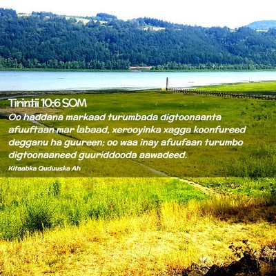 Picture 02 - Tirintii 10:6 SOM - Oo haddana markaad turumbada digtoonaanta - Bible Verse Picture