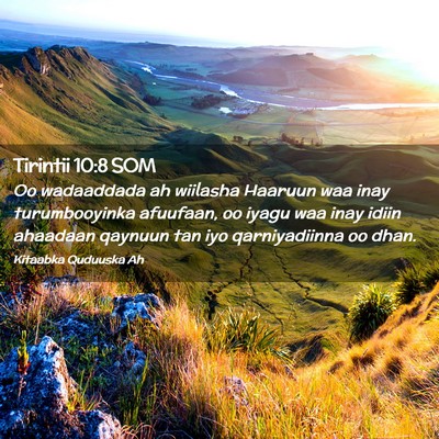 Picture 02 - Tirintii 10:8 SOM - Oo wadaaddada ah wiilasha Haaruun waa inay - Bible Verse Picture