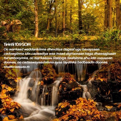 Picture 02 - Tirintii 10:9 SOM - Oo markaad waddankiinna dhexdiisa dagaal ugu - Bible Verse Picture