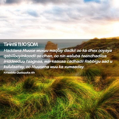 Picture 02 - Tirintii 11:10 SOM - Haddana Muuse wuxuu maqlay dadkii oo ka dhex - Bible Verse Picture