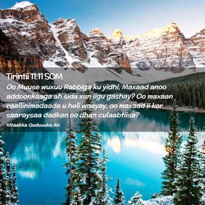 Picture 02 - Tirintii 11:11 SOM - Oo Muuse wuxuu Rabbiga ku yidhi, Maxaad anoo - Bible Verse Picture