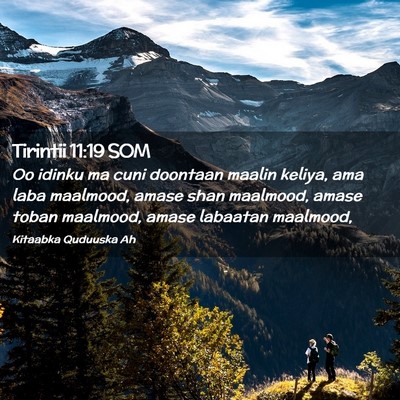 Picture 02 - Tirintii 11:19 SOM - Oo idinku ma cuni doontaan maalin keliya, ama - Bible Verse Picture