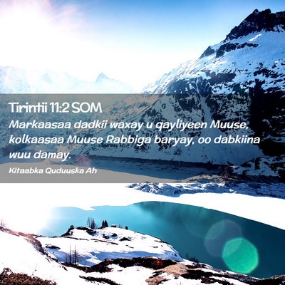 Picture 02 - Tirintii 11:2 SOM - Markaasaa dadkii waxay u qayliyeen Muuse, - Bible Verse Picture