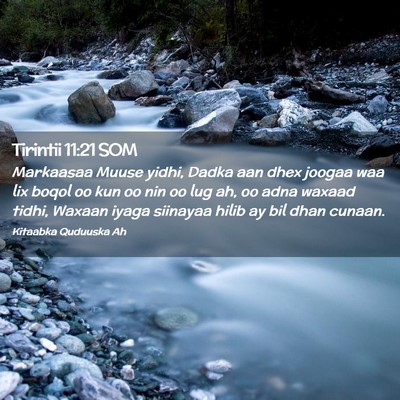 Picture 02 - Tirintii 11:21 SOM - Markaasaa Muuse yidhi, Dadka aan dhex joogaa waa - Bible Verse Picture