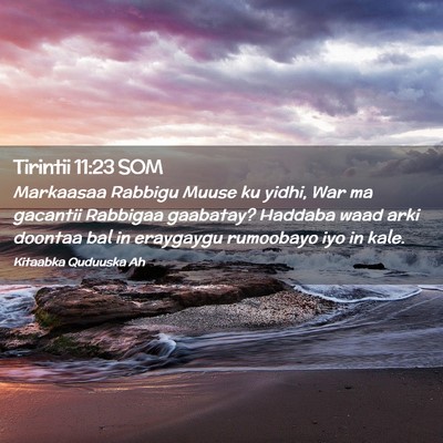 Picture 02 - Tirintii 11:23 SOM - Markaasaa Rabbigu Muuse ku yidhi, War ma gacantii - Bible Verse Picture