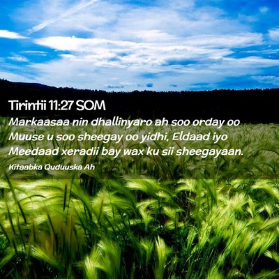Picture 02 - Tirintii 11:27 SOM - Markaasaa nin dhallinyaro ah soo orday oo Muuse u - Bible Verse Picture
