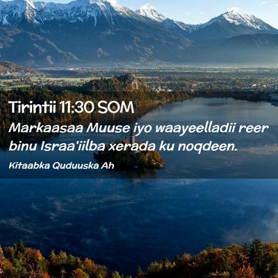 Picture 02 - Tirintii 11:30 SOM - Markaasaa Muuse iyo waayeelladii reer binu - Bible Verse Picture