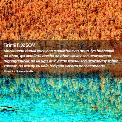 Picture 02 - Tirintii 11:32 SOM - Markaasaa dadkii kacay oo maalintaas oo dhan, iyo - Bible Verse Picture
