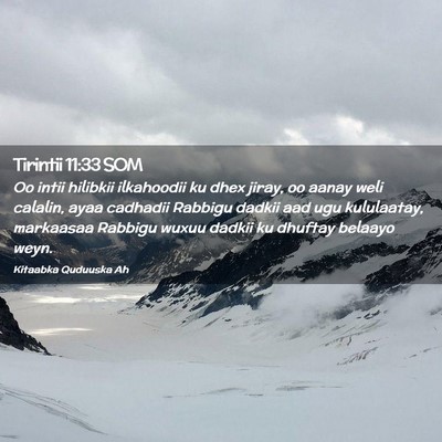 Picture 02 - Tirintii 11:33 SOM - Oo intii hilibkii ilkahoodii ku dhex jiray, oo - Bible Verse Picture