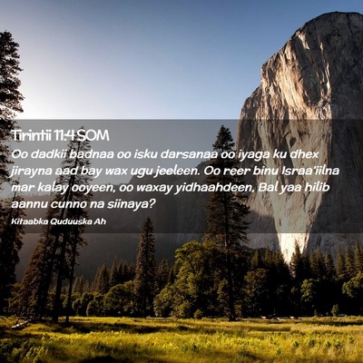 Picture 02 - Tirintii 11:4 SOM - Oo dadkii badnaa oo isku darsanaa oo iyaga ku - Bible Verse Picture