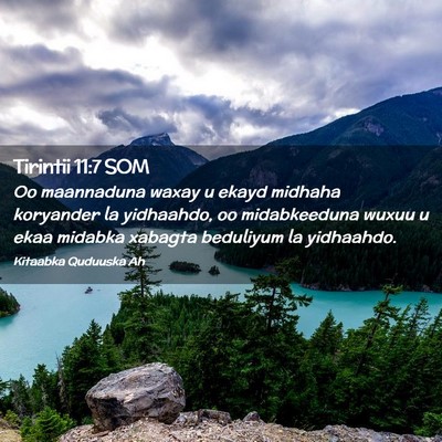 Picture 02 - Tirintii 11:7 SOM - Oo maannaduna waxay u ekayd midhaha koryander la - Bible Verse Picture