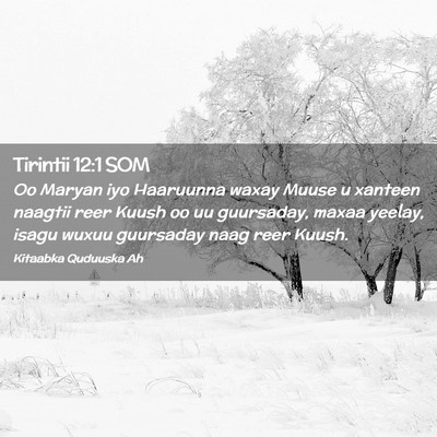 Picture 02 - Tirintii 12:1 SOM - Oo Maryan iyo Haaruunna waxay Muuse u xanteen - Bible Verse Picture