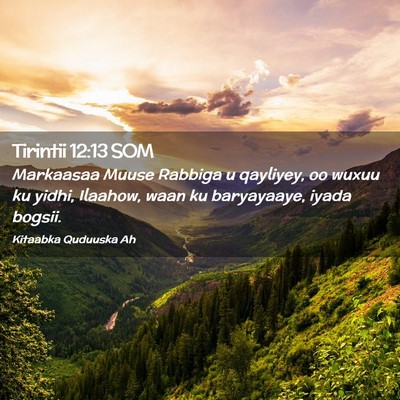 Picture 02 - Tirintii 12:13 SOM - Markaasaa Muuse Rabbiga u qayliyey, oo wuxuu ku - Bible Verse Picture