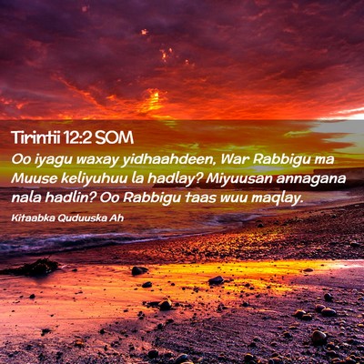 Picture 02 - Tirintii 12:2 SOM - Oo iyagu waxay yidhaahdeen, War Rabbigu ma Muuse - Bible Verse Picture