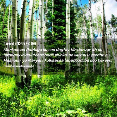 Picture 02 - Tirintii 12:5 SOM - Markaasaa Rabbigu ku soo degtay tiir daruur ah oo - Bible Verse Picture