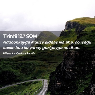 Picture 02 - Tirintii 12:7 SOM - Addoonkayga Muuse sidaas ma aha, oo isagu aamin - Bible Verse Picture