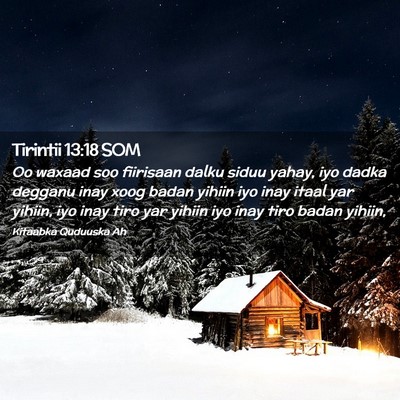 Picture 02 - Tirintii 13:18 SOM - Oo waxaad soo fiirisaan dalku siduu yahay, iyo - Bible Verse Picture
