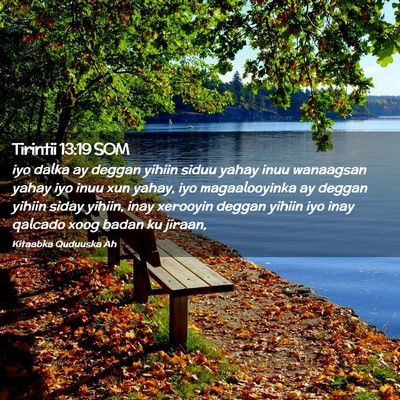 Picture 02 - Tirintii 13:19 SOM - iyo dalka ay deggan yihiin siduu yahay inuu - Bible Verse Picture