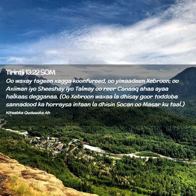 Picture 02 - Tirintii 13:22 SOM - Oo waxay tageen xagga koonfureed, oo yimaadeen - Bible Verse Picture
