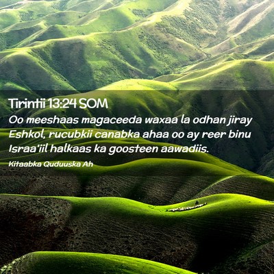 Picture 02 - Tirintii 13:24 SOM - Oo meeshaas magaceeda waxaa la odhan jiray - Bible Verse Picture