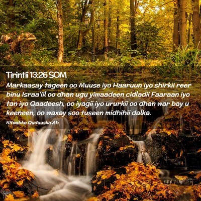 Picture 02 - Tirintii 13:26 SOM - Markaasay tageen oo Muuse iyo Haaruun iyo shirkii - Bible Verse Picture