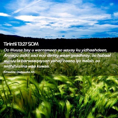 Picture 02 - Tirintii 13:27 SOM - Oo Muuse bay u warrameen oo waxay ku yidhaahdeen, - Bible Verse Picture