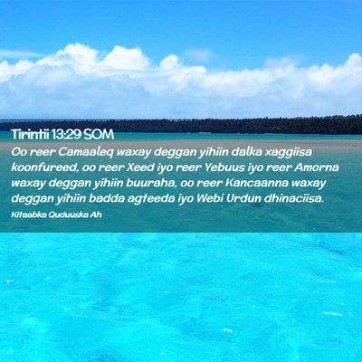 Picture 02 - Tirintii 13:29 SOM - Oo reer Camaaleq waxay deggan yihiin dalka - Bible Verse Picture