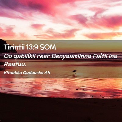 Picture 02 - Tirintii 13:9 SOM - Oo qabiilkii reer Benyaamiinna Faltii ina - Bible Verse Picture