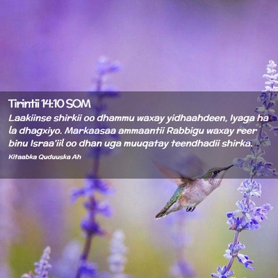 Picture 02 - Tirintii 14:10 SOM - Laakiinse shirkii oo dhammu waxay yidhaahdeen, - Bible Verse Picture