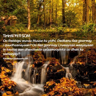 Picture 02 - Tirintii 14:11 SOM - Oo Rabbigu wuxuu Muuse ku yidhi, Dadkanu ilaa - Bible Verse Picture