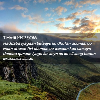 Picture 02 - Tirintii 14:12 SOM - Haddaba iyagaan belaayo ku dhufan doonaa, oo waan - Bible Verse Picture