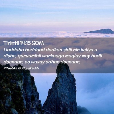 Picture 02 - Tirintii 14:15 SOM - Haddaba haddaad dadkan sidii nin keliya u disho, - Bible Verse Picture
