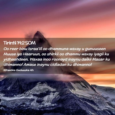 Picture 02 - Tirintii 14:2 SOM - Oo reer binu Israa'iil oo dhammuna waxay u - Bible Verse Picture
