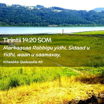 Picture 02 - Tirintii 14:20 SOM - Markaasaa Rabbigu yidhi, Sidaad u tidhi, waan u - Bible Verse Picture