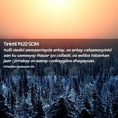 Picture 02 - Tirintii 14:22 SOM - Kulli dadkii ammaantayda arkay, oo arkay - Bible Verse Picture