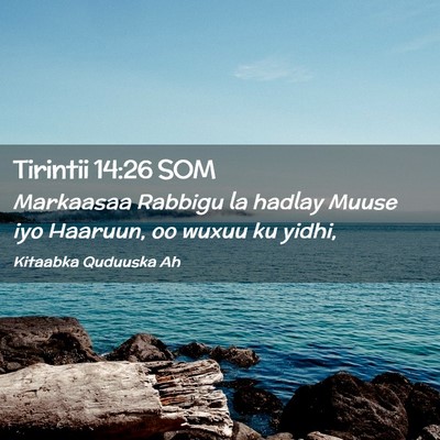 Picture 02 - Tirintii 14:26 SOM - Markaasaa Rabbigu la hadlay Muuse iyo Haaruun, oo - Bible Verse Picture