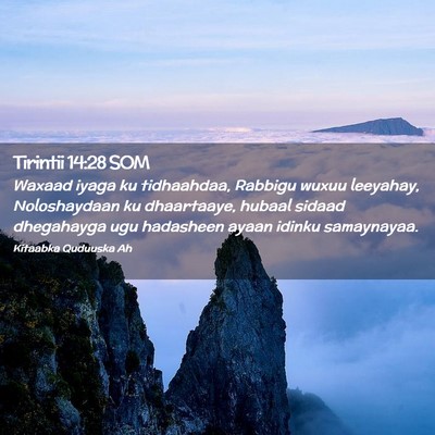 Picture 02 - Tirintii 14:28 SOM - Waxaad iyaga ku tidhaahdaa, Rabbigu wuxuu - Bible Verse Picture