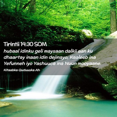 Picture 02 - Tirintii 14:30 SOM - hubaal idinku geli maysaan dalkii aan ku dhaartay - Bible Verse Picture