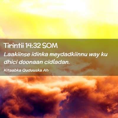 Picture 02 - Tirintii 14:32 SOM - Laakiinse idinka meydadkiinnu way ku dhici - Bible Verse Picture