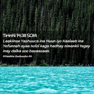 Picture 02 - Tirintii 14:38 SOM - Laakiinse Yashuuca ina Nuun iyo Kaaleeb ina - Bible Verse Picture