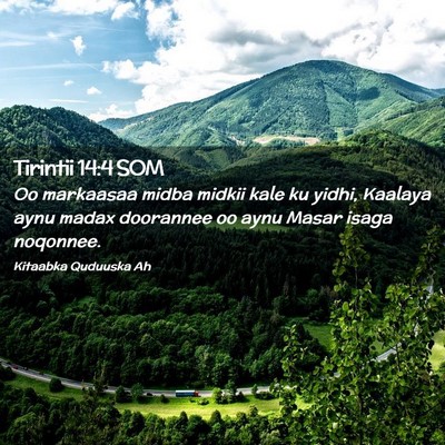 Picture 02 - Tirintii 14:4 SOM - Oo markaasaa midba midkii kale ku yidhi, Kaalaya - Bible Verse Picture