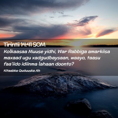 Picture 02 - Tirintii 14:41 SOM - Kolkaasaa Muuse yidhi, War Rabbiga amarkiisa - Bible Verse Picture