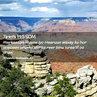 Picture 02 - Tirintii 14:5 SOM - Markaasaa Muuse iyo Haaruun waxay ku hor dheceen - Bible Verse Picture