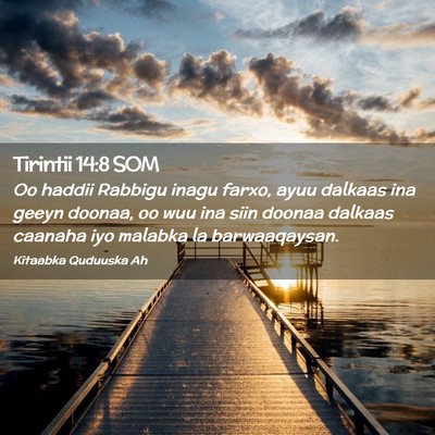 Picture 02 - Tirintii 14:8 SOM - Oo haddii Rabbigu inagu farxo, ayuu dalkaas ina - Bible Verse Picture