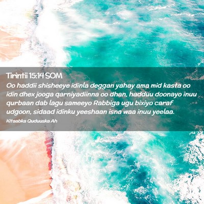 Picture 02 - Tirintii 15:14 SOM - Oo haddii shisheeye idinla deggan yahay ama mid - Bible Verse Picture